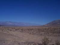 Death Valley 2008 006